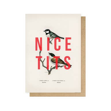 Nice Tits Greeting Card
