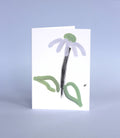 Echinacea Card