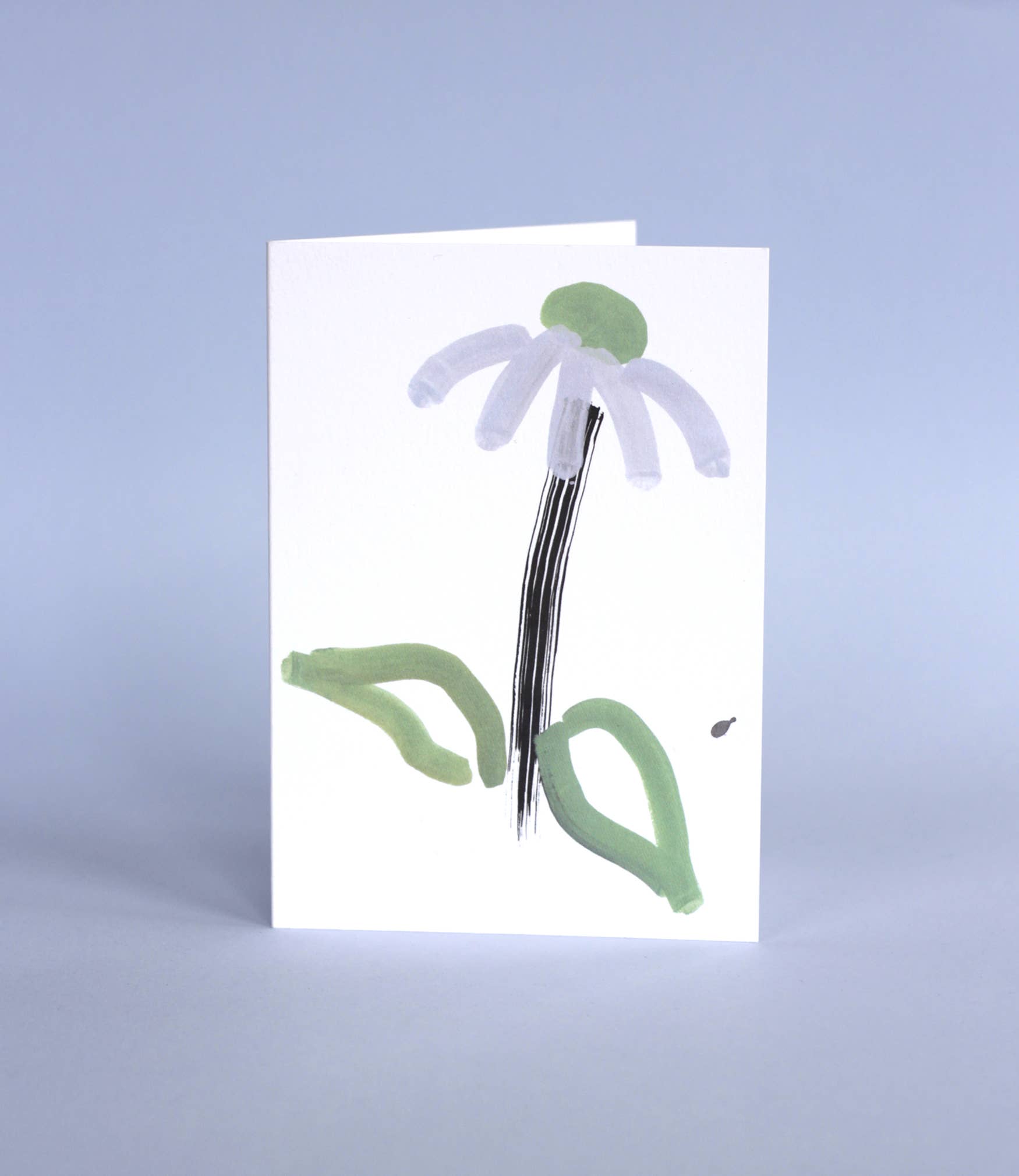Echinacea Card
