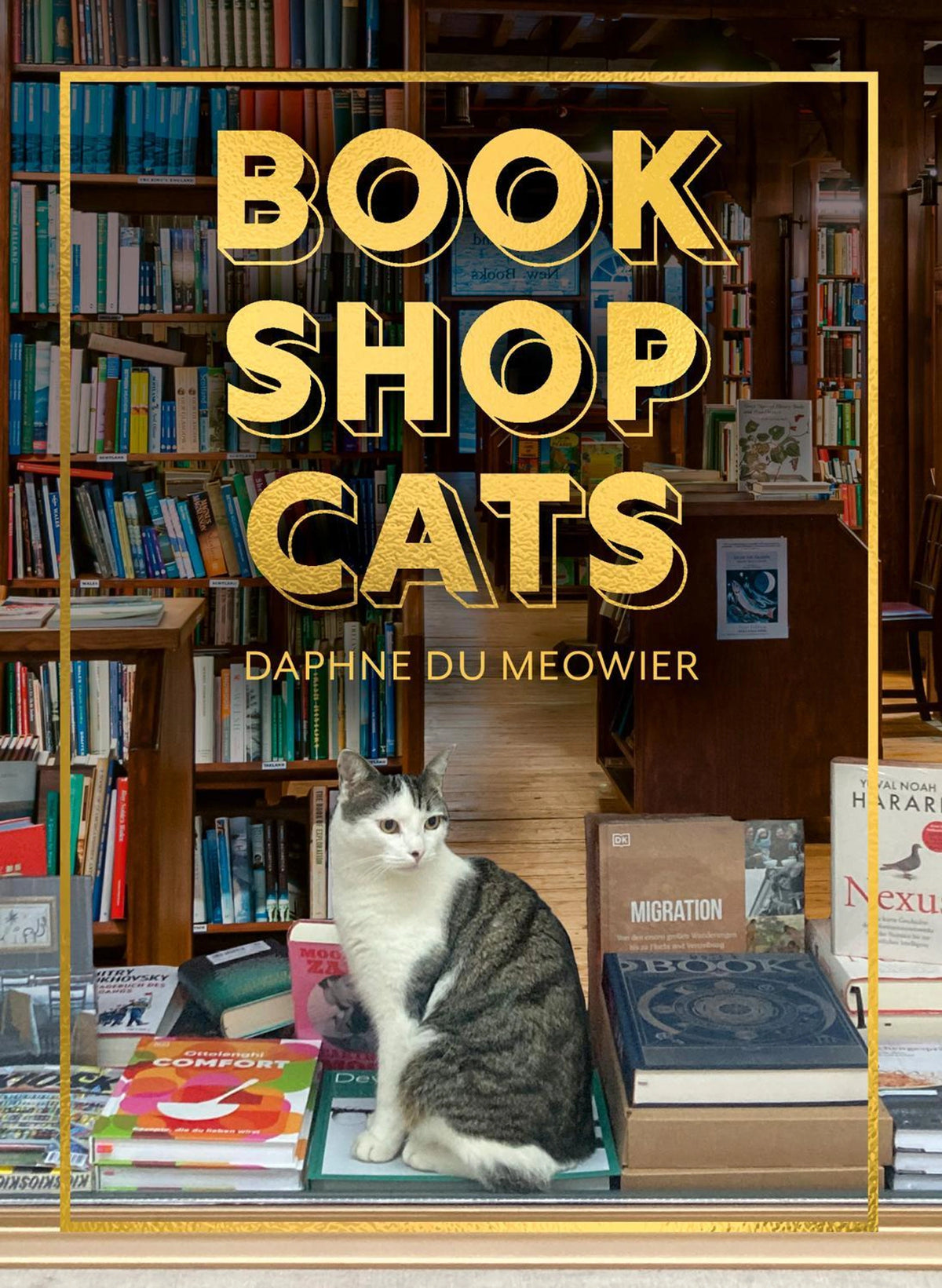 Bookshop Cats