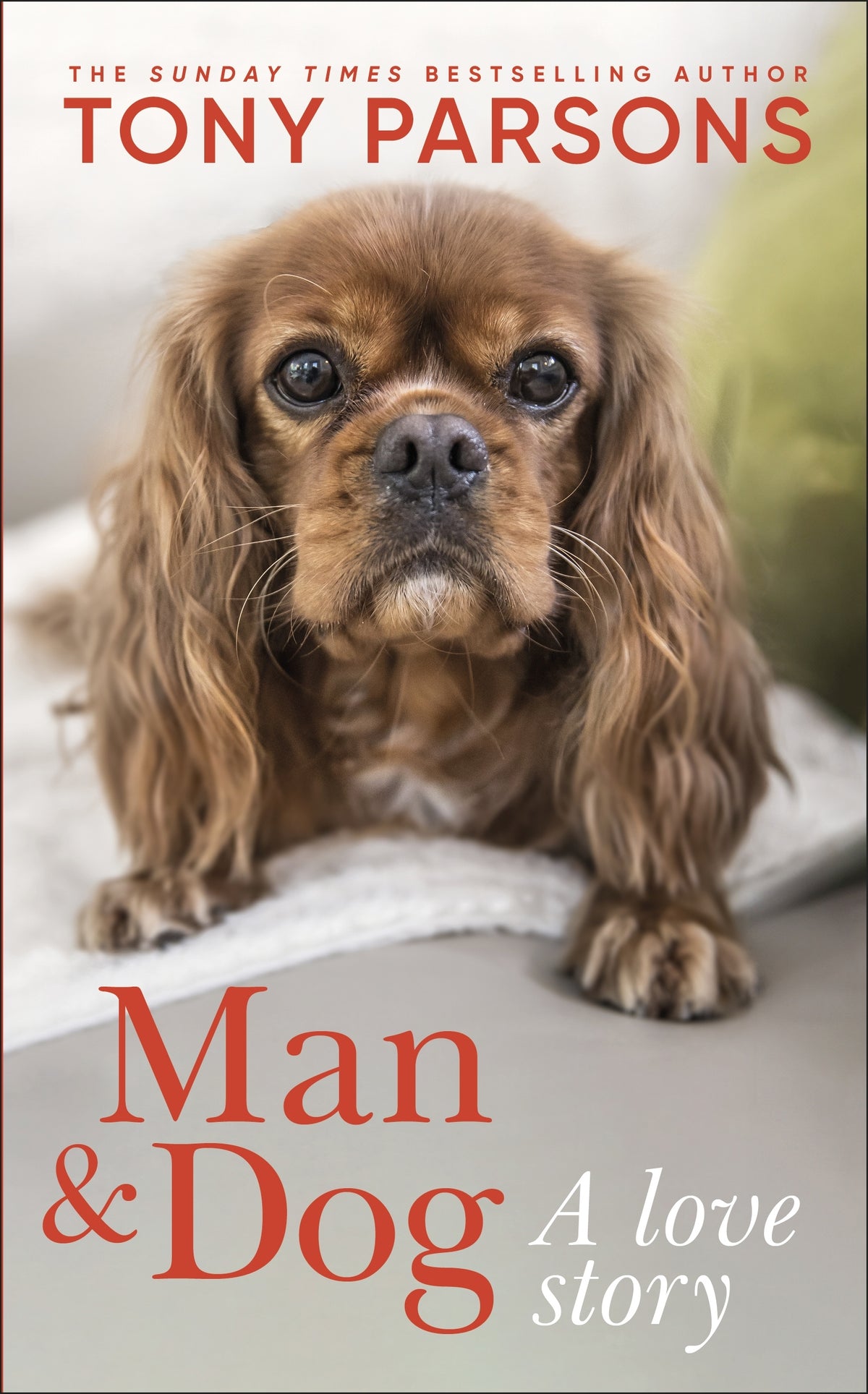Man & Dog