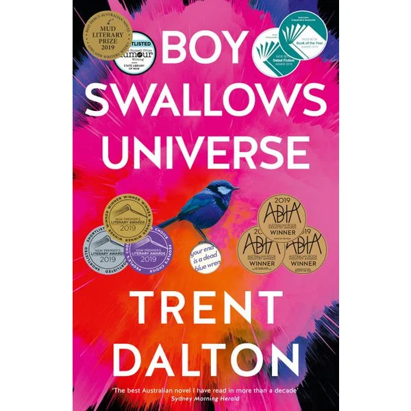 Boy Swallows Universe
