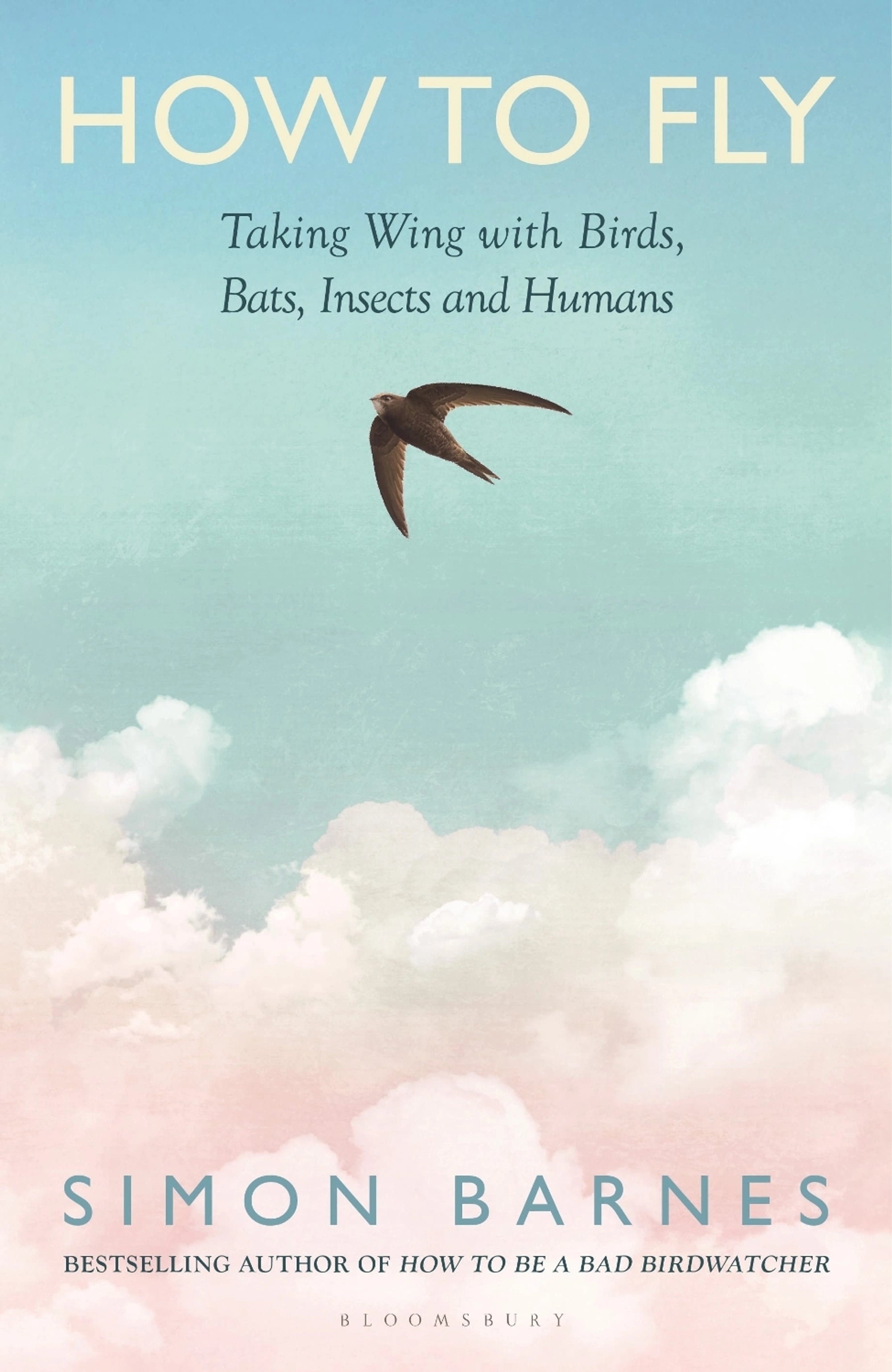 How to Fly