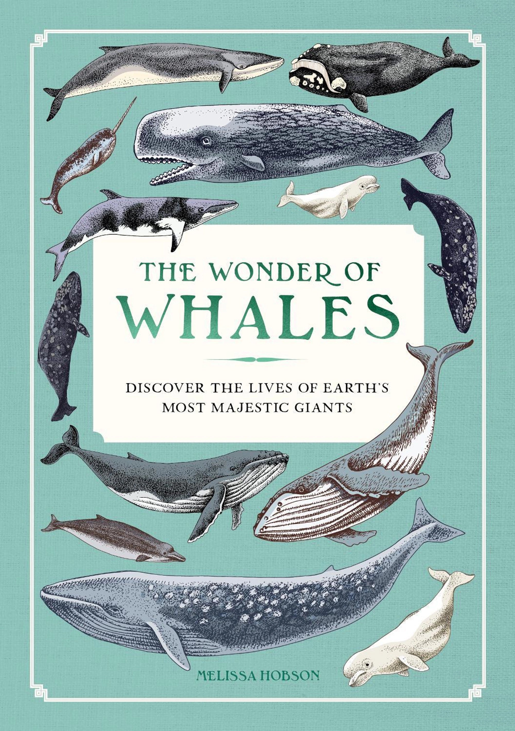 The Wonder of Whales