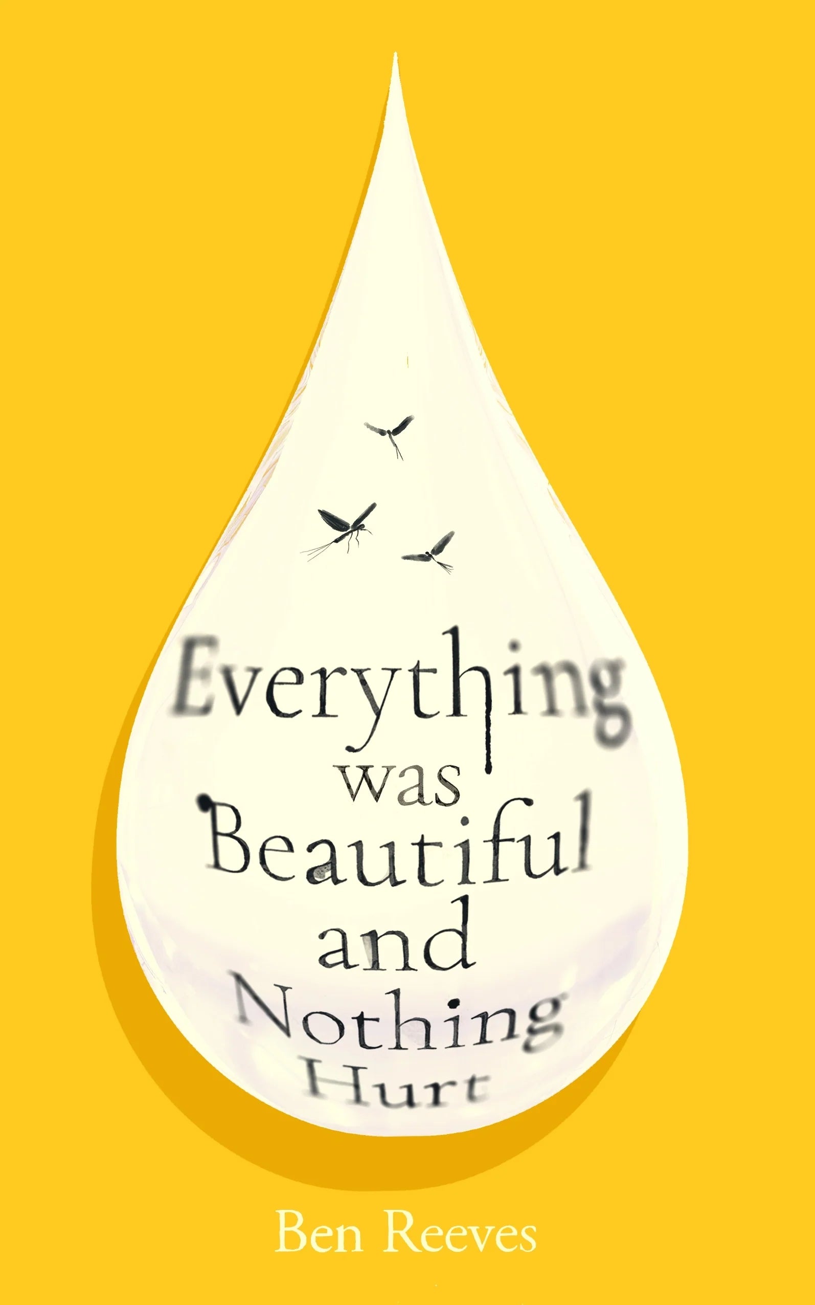Everything Was Beautiful and Nothing Hurt