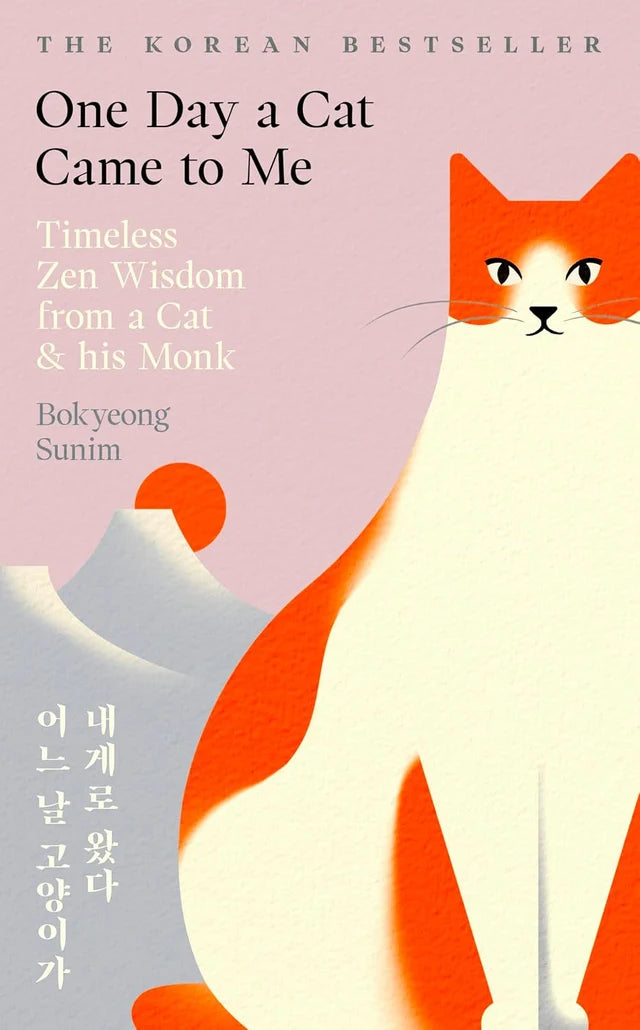 One Day a Cat Came to Me