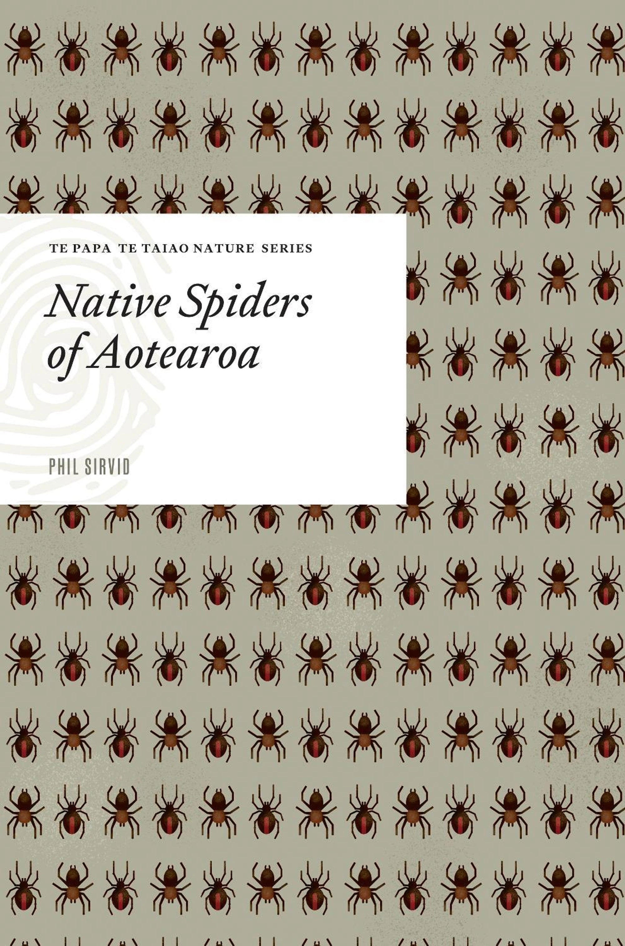 Native Spiders of Aotearoa