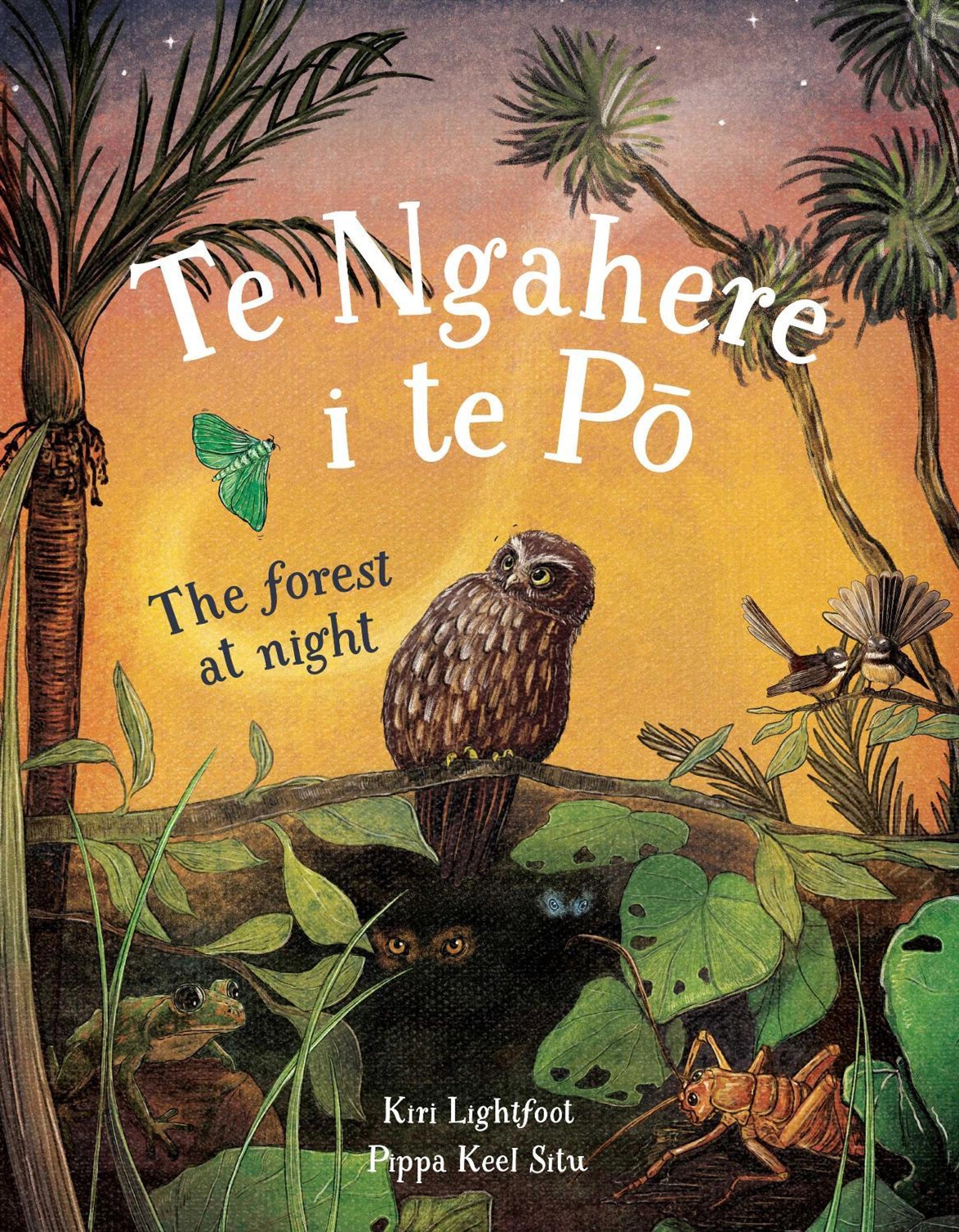 Te Ngahere i te Pō: The Forest at Night