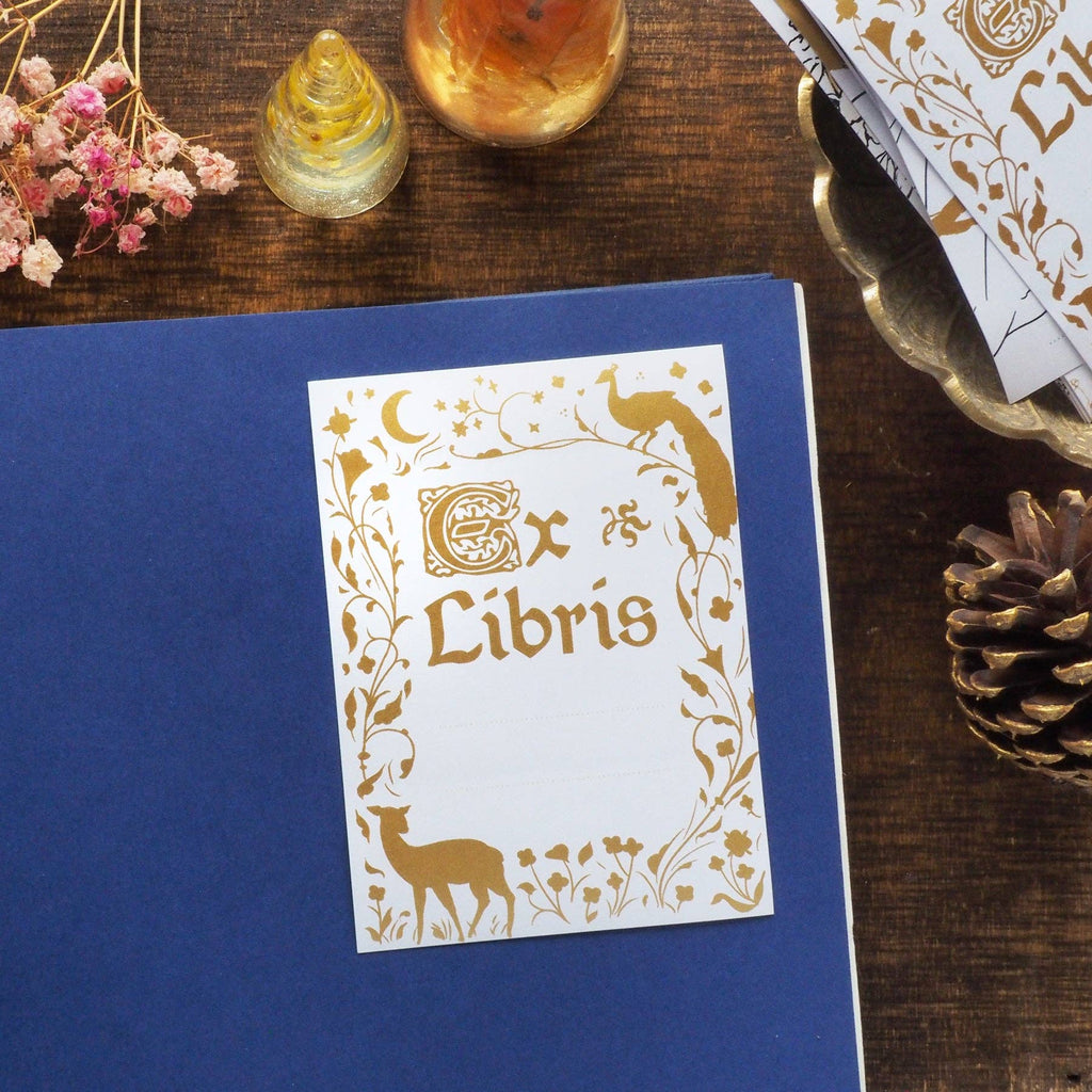 Midnight Forest Bookplates –  10 pack