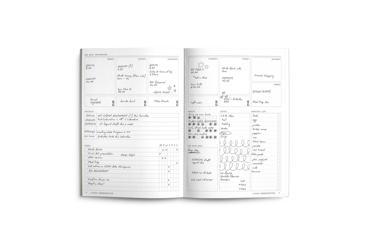 Fast Brain Student Edition - Single: Teddybear Brown