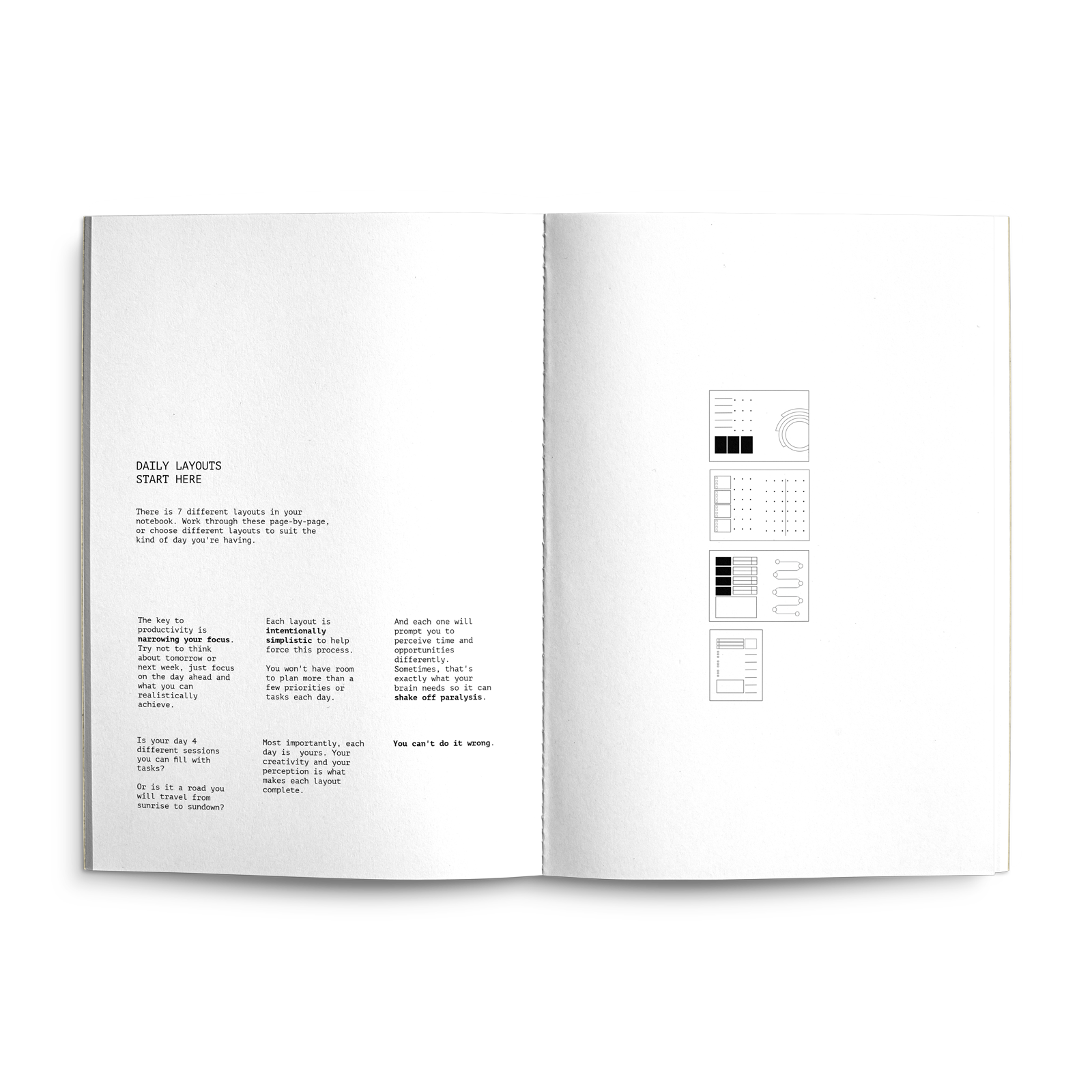 Fast Brain Daily Productivity Planner - Single Notebook: Sage